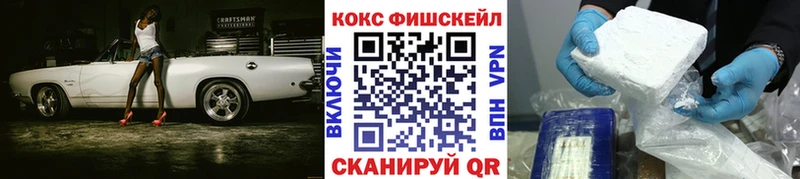COCAIN FishScale  Купить  Зима 