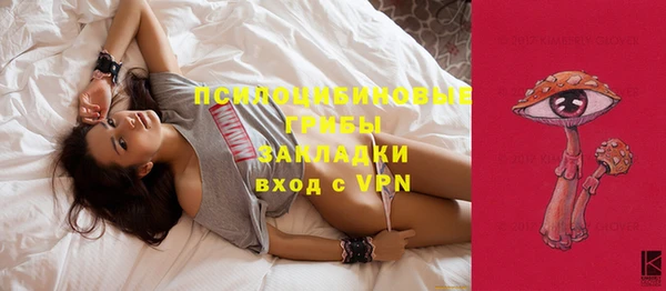 дмт Переславль-Залесский