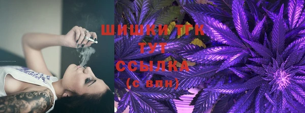 дмт Переславль-Залесский