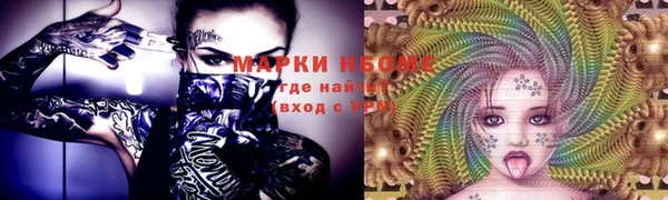 прущий лед Пересвет