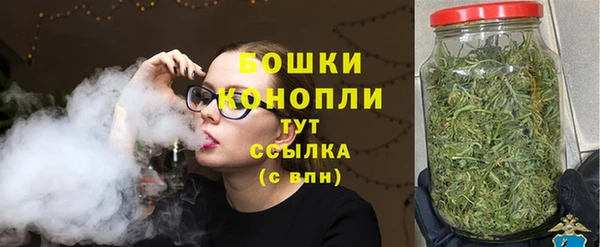 дмт Переславль-Залесский